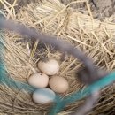 세정농장 이미지