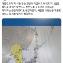 고봉삼계탕 이미지