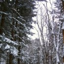 허브목장 이미지