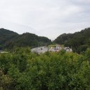 갑산주유소 Daum카페