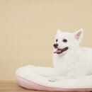 장목하와이
