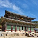소조독존 나한상 | 충북 | 법주사(法住寺)
