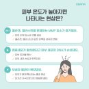 쿨케어