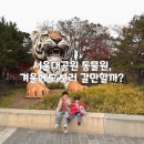 서울대공원 | 경기도 아이와 가볼 만한 곳 과천 서울대공원 동물원 동절기 솔직 후기