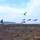 나만의 스마트폰 사진촬영 이미지