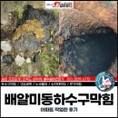 배알미동 | 배알미동하수구막힘, 아파트 현장 작업한 후기