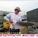 송악 낚시터 이미지