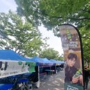 원광대학교 | 원광대학교 축제 후기