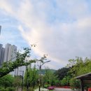 율하2지구_모산공원산책로 이미지