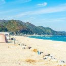 푸른 동해바다와 은빛 모래사장이 펼쳐진 울진 여행 코스 망양해수욕장 개장일 및 주차 안내 이미지