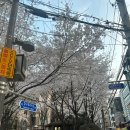 위드교육 | 스탓필라테스 교육센터 위드필라테스 압구정 필라테스 1대1 레슨 후기