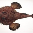 성신목장 이미지