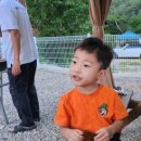 말티가는길 이미지