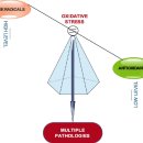 Re:Re: First line defence antioxidants-superoxide dismutase (SOD), catalase (CAT) and glutathione peroxidase (GPX) 이미지