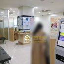 소나무 행정사 사무소 이미지