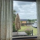 라라피포 제주 이미지