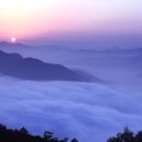 영월초등학교 이미지