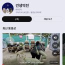 수원시 종합자원 봉사센터 | 수원 용인 유기견 자원봉사 봉사활동 신청 주말 후기