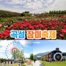 장미공연장 이미지