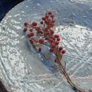 이연공방