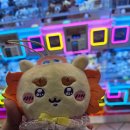 166 | 라섹+166일 후기
