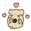 프렌즈스크린신동