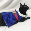 왕자한복 이미지