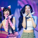 포포 이미지