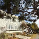 용산-298 | 서울 웨딩촬영 스튜디오 / 이태원 스튜디오 / 룩북 촬영 추천