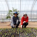 강진도깨비농장 이미지