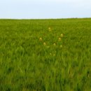 창승농장 이미지