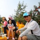 보미네농장