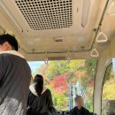 경충대로 10 | 화담숲 10월말(가을시즌) 방문 후기