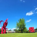 비디오아트 | 경주여행 우양미술관 백남준 비디오 아트, 아모아코 보아포 전시 후기