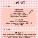 소로동물병원 이미지