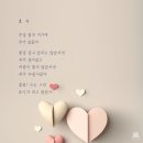 별빛너머 이미지