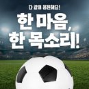 ❤️‍🔥⚽️ GO KOREA! GO! ⚽️❤️‍🔥-＜🏆 승리를 향해 GO! GO!＞🇰🇷대한민국VS체코🇨🇿 이미지