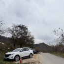 초원목장1 이미지