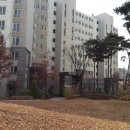 강남-214 이미지