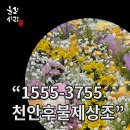 후불제상조 진심이닿도록 | 천안 상조회사 추천 가이드 선불제 리스크와 안전한 후불제 상조 정보
