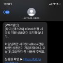 네사 이미지