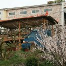 감나무집 불한증막 이미지