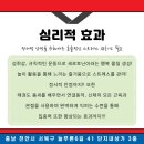 최강두리 태권도장 이미지