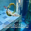 수도권 용인 프리다이빙 강습 및 체험 추천 | 윤슬프리다이빙에서 첫 프다 후기