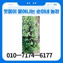 순이네농장 이미지