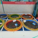 엄청난낙지 이미지