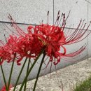 해보면사무소 이미지