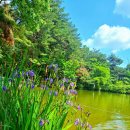 당구사랑 이미지