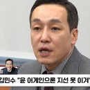 이준석 카카오 검색결과