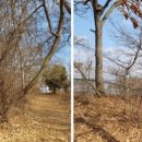 김포평화누리길 1코스 이미지